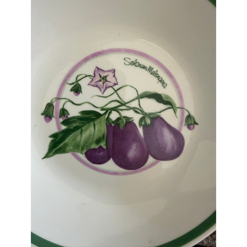 HIMARK New! 8.4" Pasta Bowl Made In Italy Eggplant(Solanum Melongena) - Picture 3 of 4